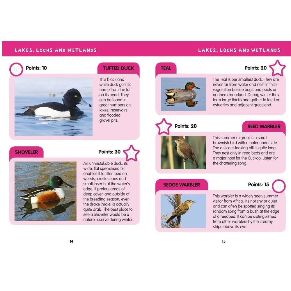 i-Spy Birds Children's Activity Book