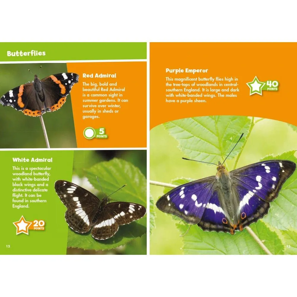 i-Spy Butterflies & Moths Children's Activity Book