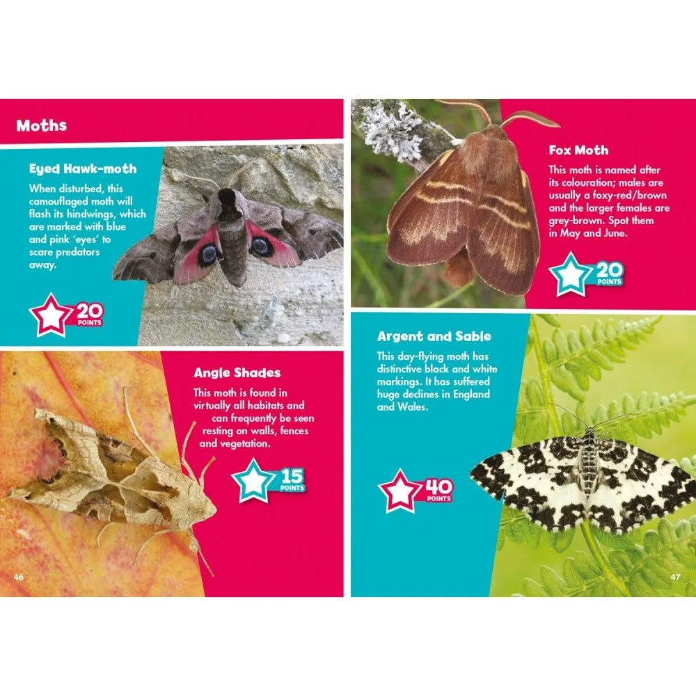 i-Spy Butterflies & Moths Children's Activity Book