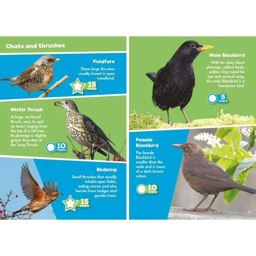 i-Spy Garden Birds Children's Activity Book