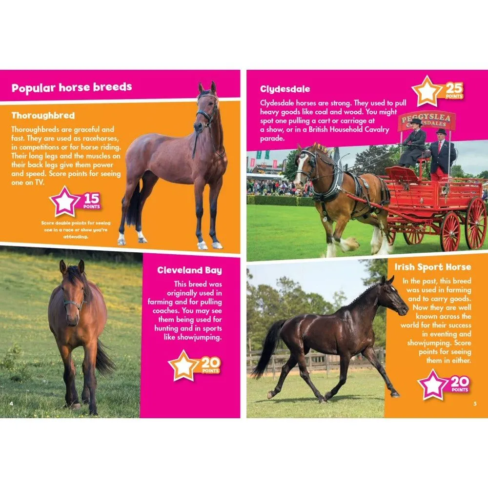 i-Spy Horses & Ponies Children's Activity Book