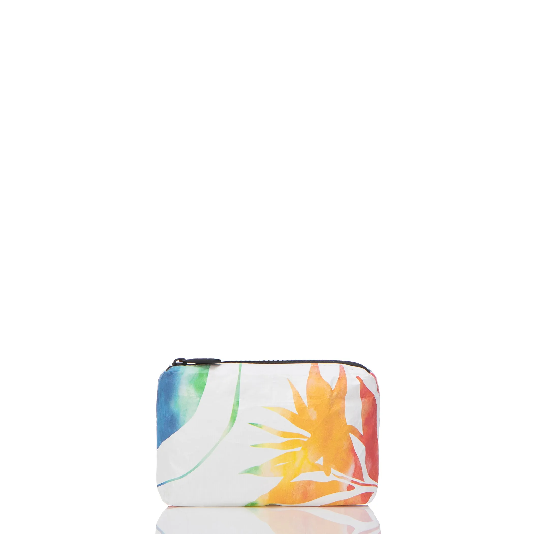 Painted Birds Mini Pouch / Rainbow