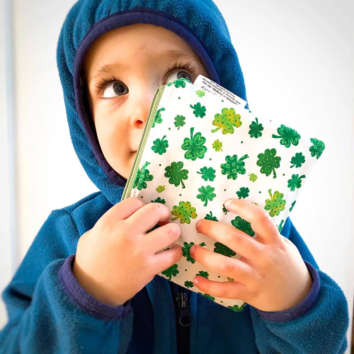 Toddler Sized Reusable Zippered Bag Spaceships and Rockets